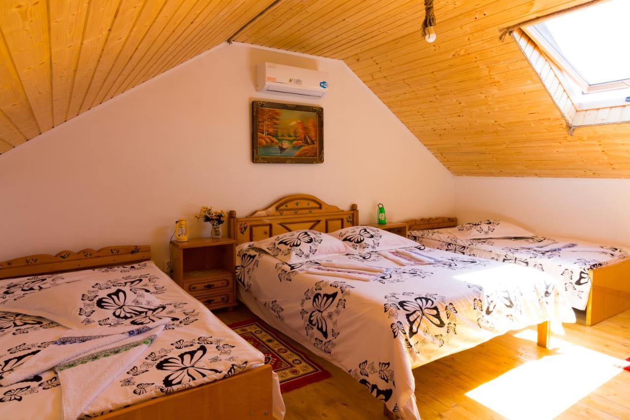 Casa De Vacanta Marya Baia de Fier Esterno foto