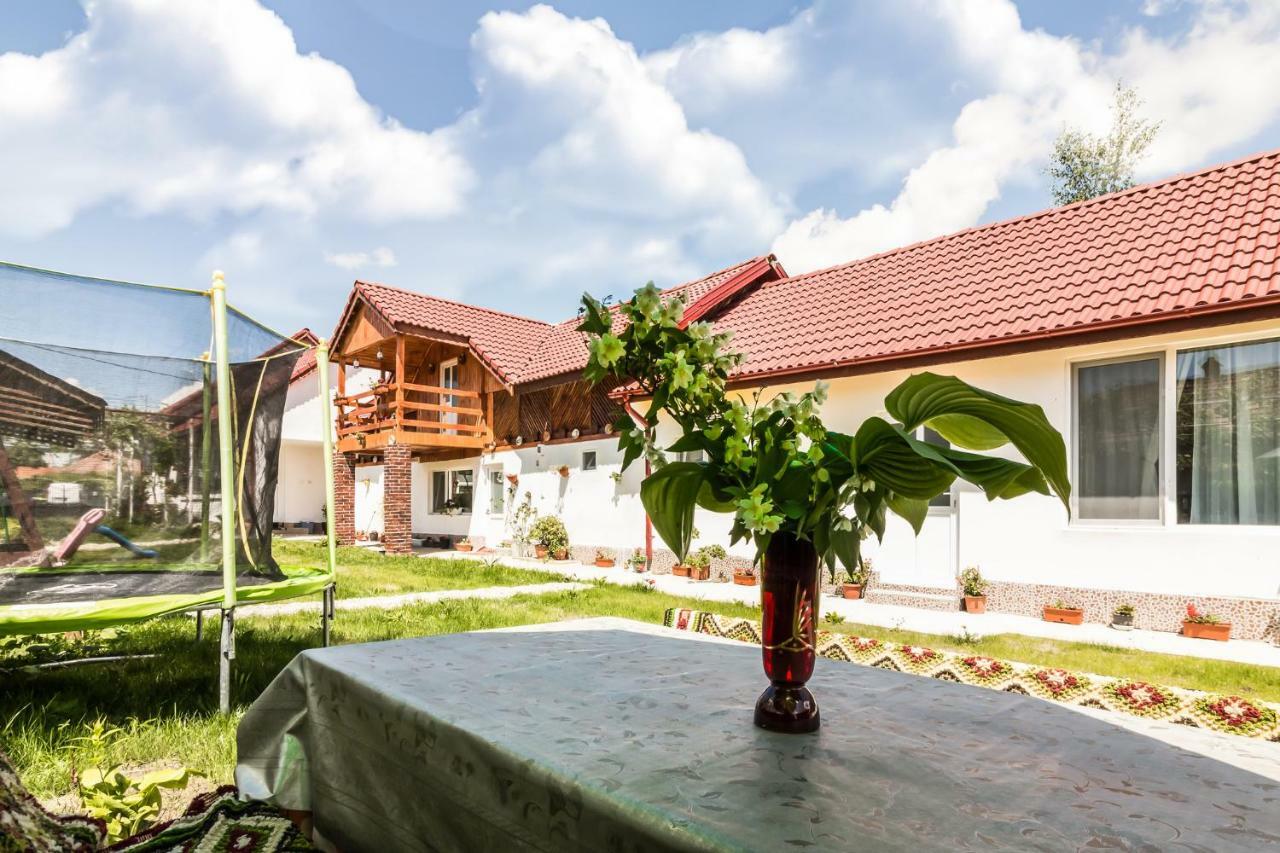 Casa De Vacanta Marya Baia de Fier Esterno foto
