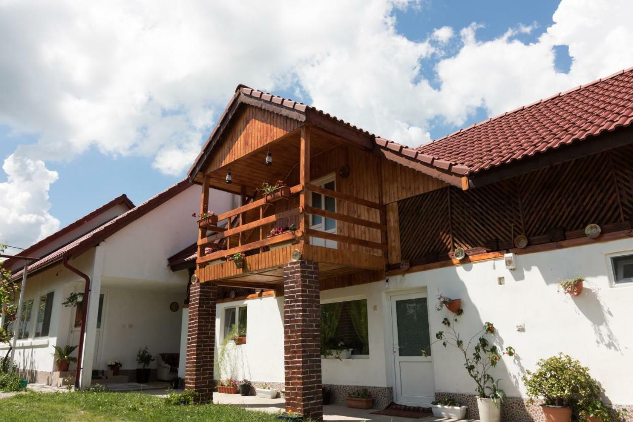 Casa De Vacanta Marya Baia de Fier Esterno foto